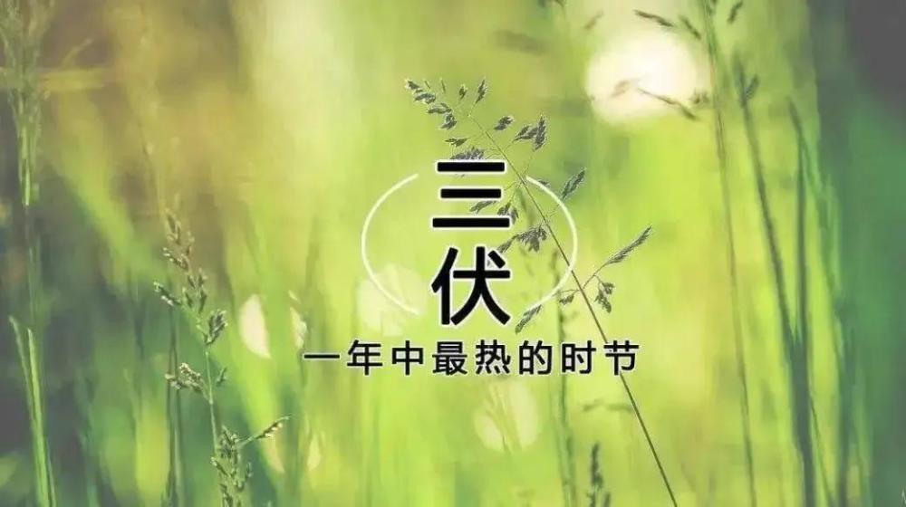 「哈尔滨上正堂」三伏天做好这几件事就是在养病